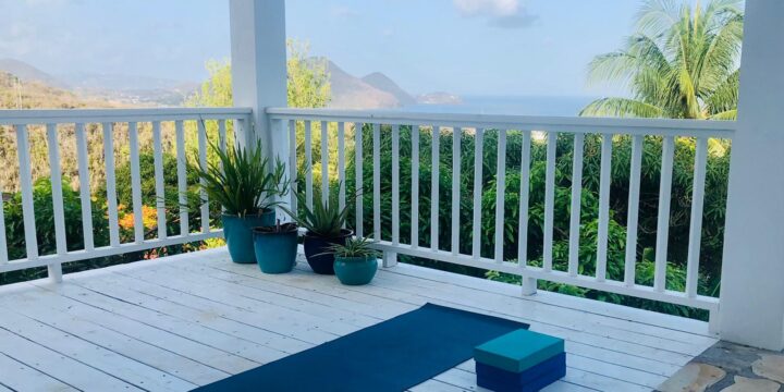 a deck with a yoga mat and potted plants