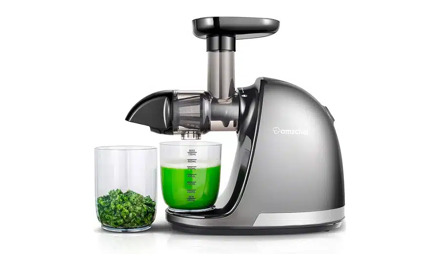 AMZCHEF Masticating Juicer
