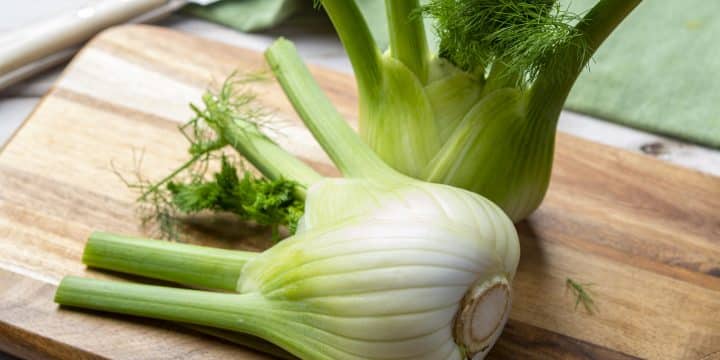 a close up of Fennel